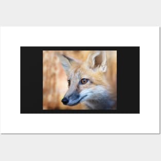 Fox Portrait Posters and Art